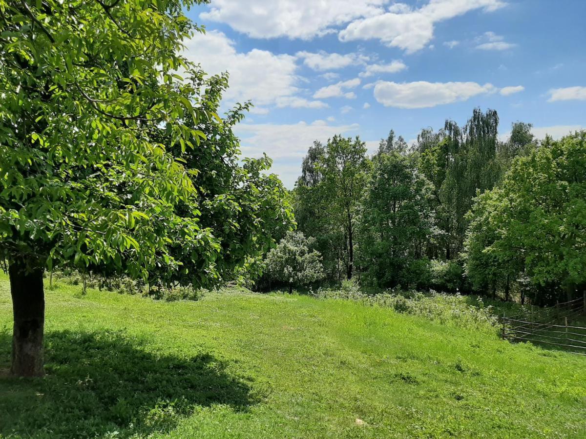 Gosp. Agroturystyczne Stary Gaj Villa Zerkowice Exterior photo
