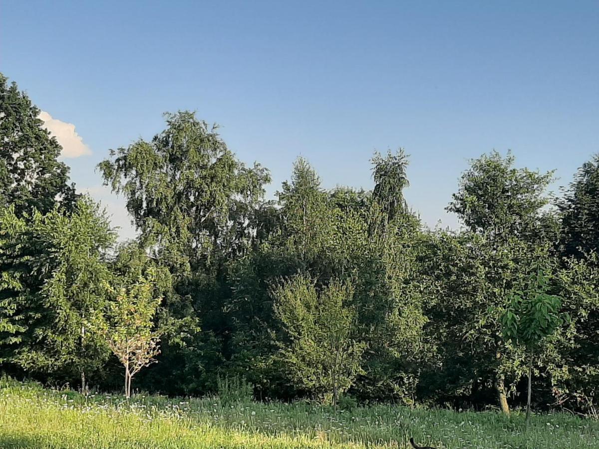 Gosp. Agroturystyczne Stary Gaj Villa Zerkowice Exterior photo